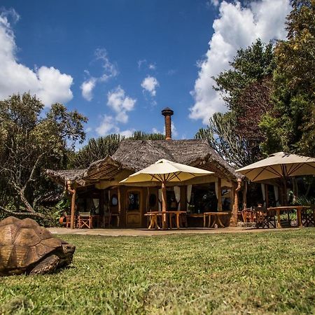 Chui Lodge Naivasha Bagian luar foto