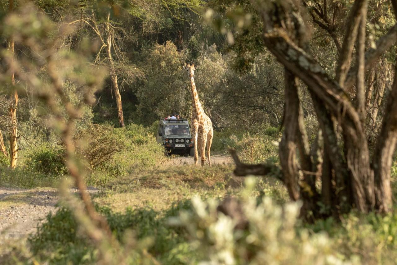 Chui Lodge Naivasha Bagian luar foto